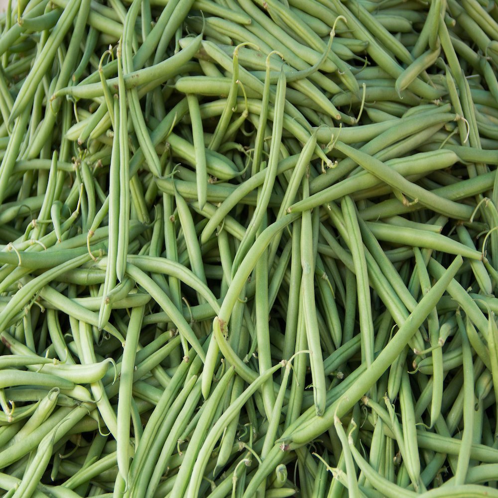 french-beans-farmers-family